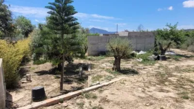 Terreno en venta en L'Olla - Vista 4