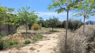 Terreno en venta en L'Olla - Vista 5