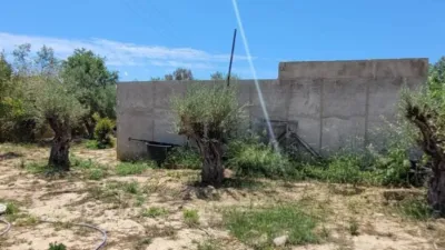 Terreno en venta en L'Olla - Más