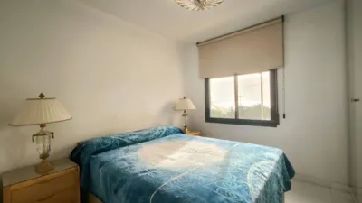 Apartment in Casco Antiguo-Santa Cruz photo 31