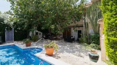Apartment in Acequión-Los Naúfragos photo 50