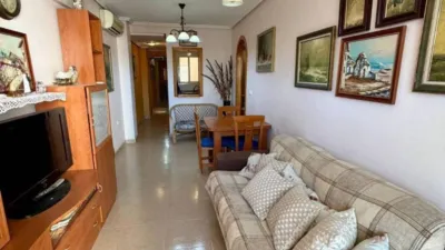 Pis – Torrevieja, Europa - Vista 2