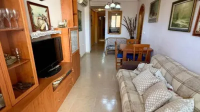 Pis – Torrevieja, Europa - Vista 3