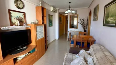 Pis – Torrevieja, Europa - Vista 4