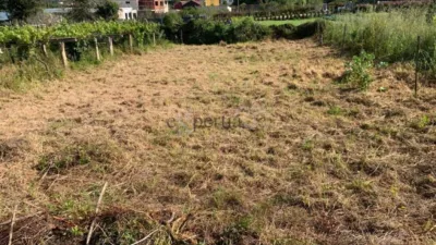 House in Aldea de Arriba (Cabo de Cruz) photo 22