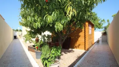 House on Avenida de las Urracas photo 16