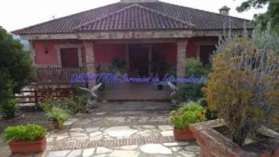 Chalet in Guarromán photo 3