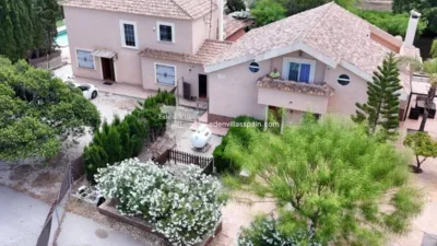 Casa – Elx - Elche - Más