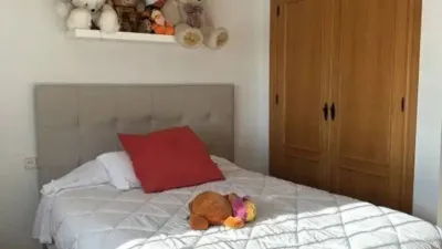 Chalet in Linares photo 27