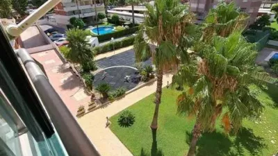 Apartment in Racó de l'Oix photo 18
