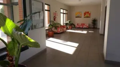 Apartment in Racó de l'Oix photo 21