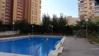 Apartment in Racó de l'Oix photo 24