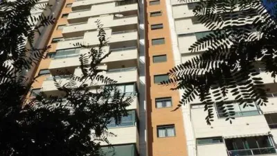 Apartment in Racó de l'Oix photo 30