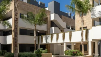 Apartment in Playa Flamenca-Las Piscinas photo 81