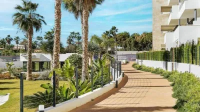 Apartment in Playa Flamenca-Las Piscinas photo 92