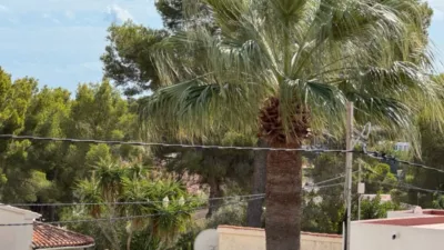 Chalet in Cala Advocat-Baladrar photo 28