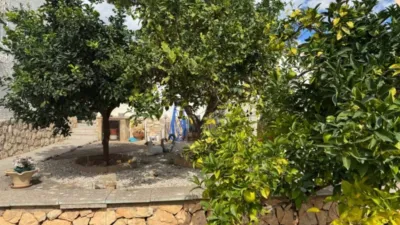 Chalet in Cala Advocat-Baladrar photo 8