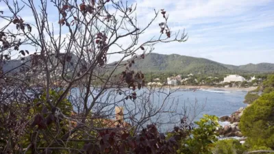 Duplex in Capdepera photo 35