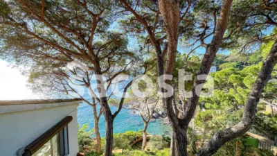 Casa en Canyelles-La Montgoda photo 44