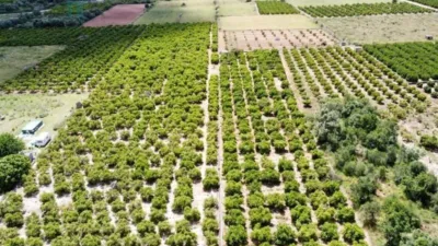 Terreno en venta en Orba - Vista 3