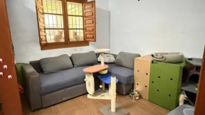 Chalet in Pinos de Alhaurín photo 3