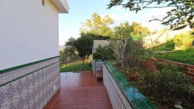 House in the Centre photo 30