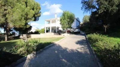 House in the Centre photo 4