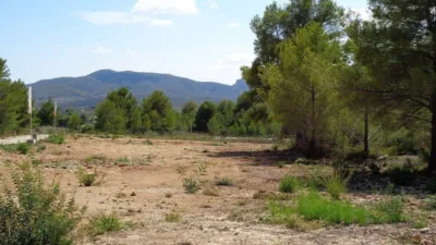 Terreno en venta en La Ermita-Montgó - Vista 3