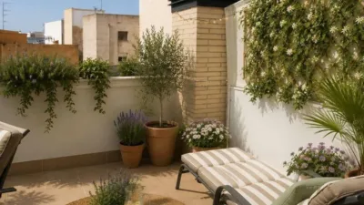 Apartment at 33 Cristofor Colom Street photo 2