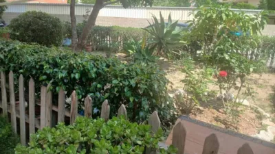 Apartment in Poble de Llevant photo 22