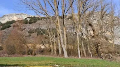 Rustic house in Fuente Urbel photo 16