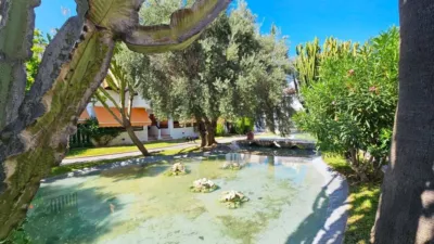 Bungalow in Carrer Carabassí photo 37