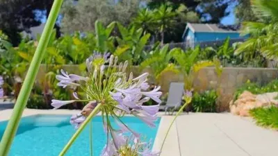 Chalet en venta en Palmanova-Son Caliu, Palmanova-Son Caliu (Calvià) de 3.950.000 €