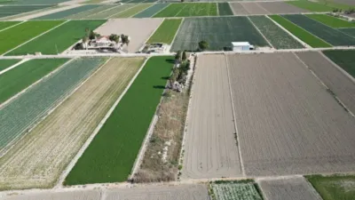 Terreno en venta en San Fulgencio - Vista 3