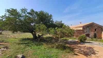 Rustic house in Castellnovo photo 3
