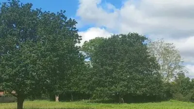 Terreno en venta en Cambre - Vista 3