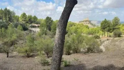 Terreno en venta en Biar - Vista 4