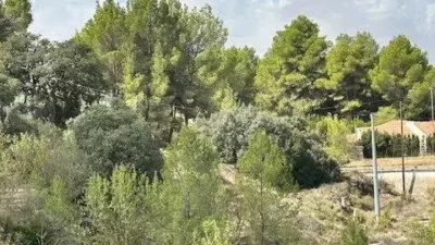 Terreno en venta en Biar - Més