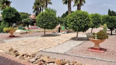 Casa – Catral - Més