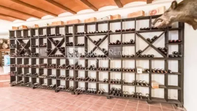 House in Santa Susanna photo 31