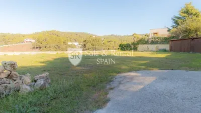 House in Santa Susanna photo 39