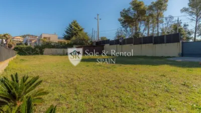 House in Santa Susanna photo 40