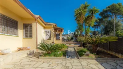 House in Santa Susanna photo 4