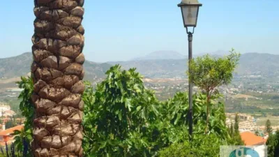 House in Manantiales-Cortijos del Sol-Fuensanguínea photo 18