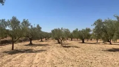Terreno en venta en Biar - Vista 4