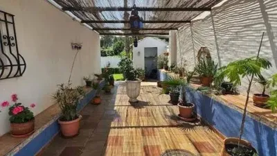 Rustic House in Canals photo 74