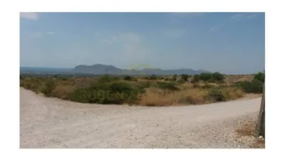Terreno en venta en Albatera - Vista 5