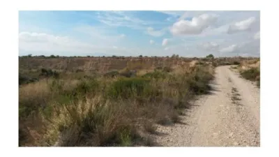 Terreno en venta en Albatera - Más