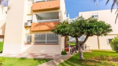 Apartment in Roquetas-Las Marinas Urbanisation photo 45
