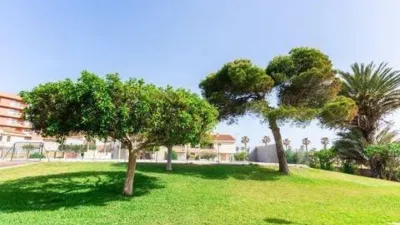 Apartment in Roquetas-Las Marinas Urbanisation photo 4